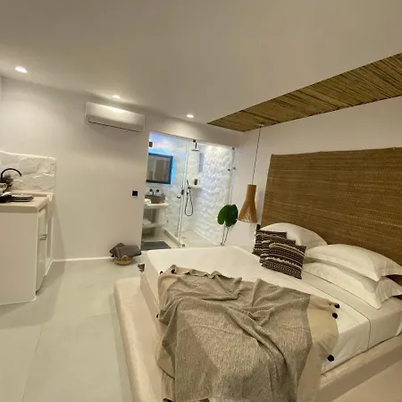 Ξενοδοχείο με διαμερίσματα Ampelos Casart Naxos City