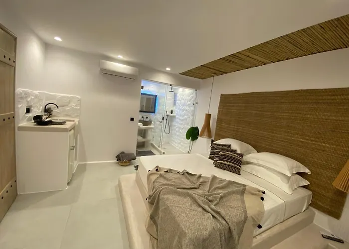 公寓式酒店 Ampelos Casart Naxos City