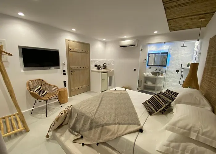 公寓式酒店 Ampelos Casart Naxos City